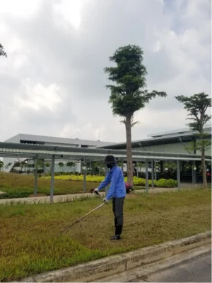 Vệ Sinh Công Nghiệp Green House – Công Ty TNHH TM Và DV Nguyên Trung Green House