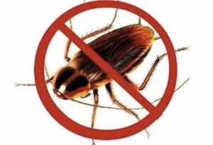 Công Ty TNHH TM Và DV Tổng Hợp Xuyên Việt Group