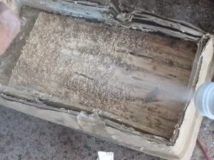 Công Ty TNHH TM Và DV Tổng Hợp Xuyên Việt Group