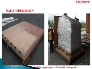 Công Ty TNHH Dịch Vụ Giao Nhận Vận Tải Cha Sen