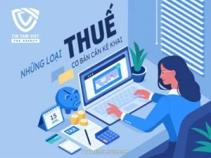 Kế Toán Thuế Tín Tâm Việt – Công Ty TNHH Tư Vấn Tín Tâm Việt