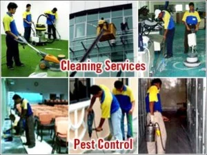 Công Ty TNHH Thương Mại Dịch Vụ Nam Việt Đức