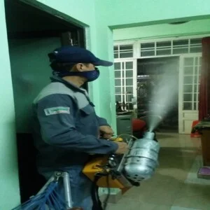 Công Ty TNHH Thương Mại Dịch Vụ Greendy