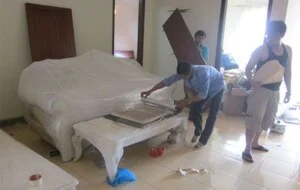 Vận Tải Hàng Hóa Trung Tín – Công Ty TNHH Vận Tải Hàng Hóa Trung Tín