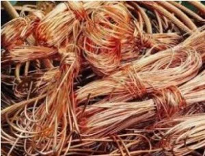 Chi nhánh Bình Phước – Công Ty TNHH Phú Thành