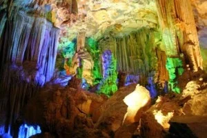 Công Ty Cổ Phần Thương Mại Du Lịch Và Dịch Vụ Vũng Chùa