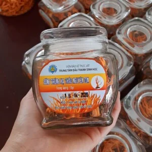 Trung Tâm Đấu Tranh Sinh Học – Viện Bảo Vệ Thực Vật