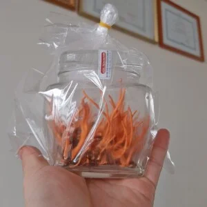 Trung Tâm Đấu Tranh Sinh Học – Viện Bảo Vệ Thực Vật