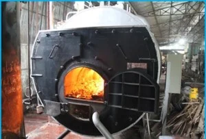 Công Ty TNHH Một Thành Viên Việt Long Phụng