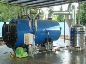 Công Ty TNHH Một Thành Viên Việt Long Phụng
