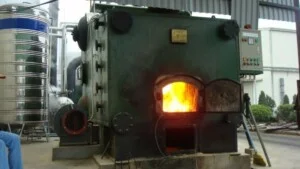 Công Ty TNHH Một Thành Viên Việt Long Phụng