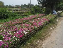 Công Ty TNHH Thiết Kế Xây Dựng Thương Mại Anh Khoa