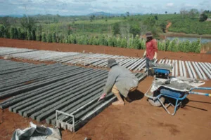 Cơ Sở Sản Xuất Trụ Tiêu Phúc Hiệp