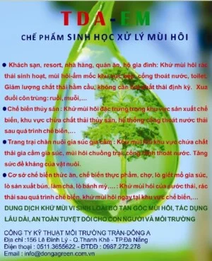 Công Ty TNHH Kỹ Thuật Môi Trường Trần – Đông A