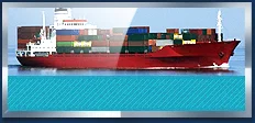 Công Ty TNHH Vận Tải Siêu