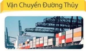 Công Ty TNHH Tiếp Vận Thái Việt