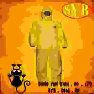 Công Ty TNHH Một Thành Viên Song Yến Bình