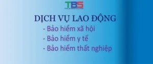 Kế Toán TBS – Công Ty TNHH TB Solutions Việt Nam