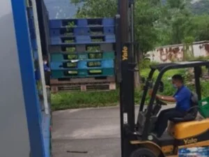 Chi Nhánh Vũng Tàu – Công Ty TNHH Thương Mại Vận Tải Hàng Hóa Khởi Nghiệp
