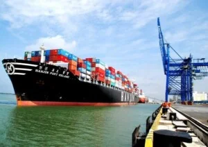 Chi Nhánh – Công Ty TNHH Logistics HALOCO
