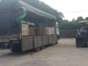 Vận Tải Tấn Dũng – Doanh Nghiệp Tư Nhân Tấn Dũng