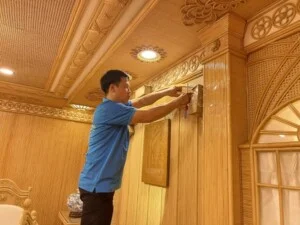 Công Ty TNHH Insecticides Tấn Phát