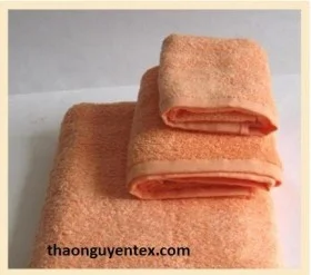 Công Ty TNHH Dệt May Xuất Khẩu Thảo Nguyên