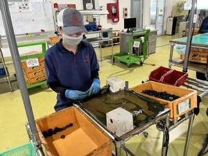 Cơ Khí Chính Xác Niimi – Công Ty TNHH Niimi Việt Nam