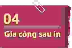 Công Ty TNHH Tạo Mẫu Và In Bao Bì Miền Bắc