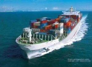 Vận Tải Thái Tuấn – Công Ty TNHH Tập Đoàn Thái Tuấn Logistics