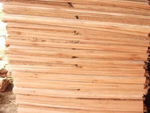 Gỗ Thiên Lộc – Công Ty TNHH Một Thành Viên Thương Mại Xuất Nhập Khẩu Thiên Lộc