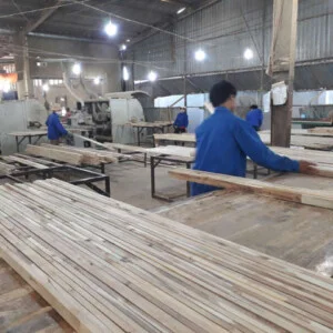 Công Ty TNHH Dịch Vụ Thương Mại Xuất Nhập Khẩu Hồng Nghi