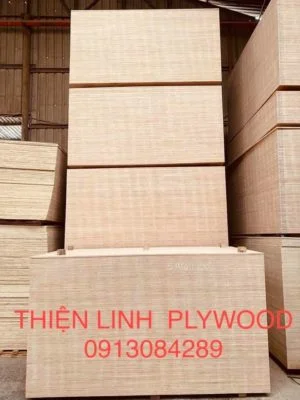 Thiện Linh Plywood – Công Ty TNHH Thiện Linh Plywood