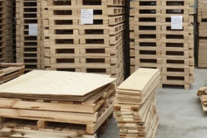 Chi Nhánh Thái Bình – Công Ty CP Gỗ Hải Phòng