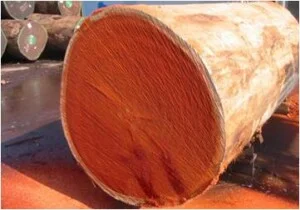 Công Ty Cổ Phần Sản Xuất và XNK Vietland