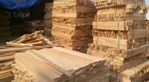 Gỗ Lâm Nghiệp Hòa Phát – Công Ty Cổ Phần Lâm Nghiệp Hòa Phát