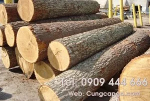 Gỗ Cửu Long – Công Ty Cổ Phần Xây Dựng Phát Triển Đô Thị Cửu Long