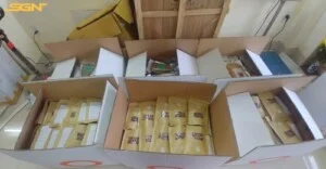 Công Ty TNHH Giao Nhận Vận Tải Quốc Tế SGN