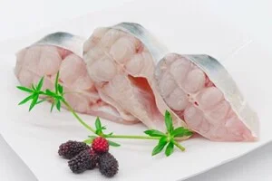 Thủy Hải Sản Fando Feed – Công Ty TNHH Fando Feed