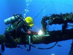Công Ty TNHH Dịch Vụ Lặn Và Thiết Bị Lặn Thiện Lâm