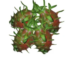 Doanh Nghiệp Tư Nhân Thương Mại Phương Giang