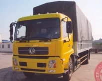 Công Ty TNHH Vận Tải Dịch Vụ Thương Mại Kiến Hoàng