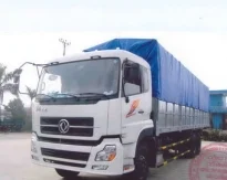 Công Ty TNHH Vận Tải Dịch Vụ Thương Mại Kiến Hoàng