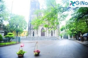 Công Ty TNHH Gió Nhẹ Miền Nam Quốc Tế