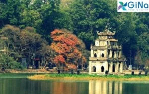 Công Ty TNHH Gió Nhẹ Miền Nam Quốc Tế