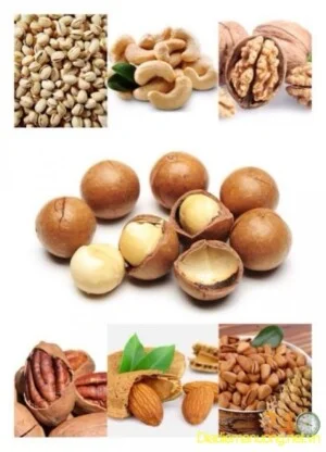 Công Ty TNHH XNK Khang Hân Vina