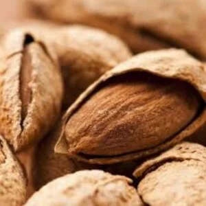 Công Ty TNHH XNK Khang Hân Vina