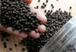 Công Ty Đầu Tư Và Xuất Nhập Khẩu Hoàng Long