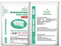 Greenfeed Việt Nam – Công Ty Cổ Phần Greenfeed Việt Nam