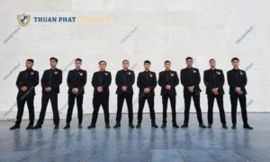 Sao Việt Door SVD – Công Ty TNHH Cửa Sao Việt